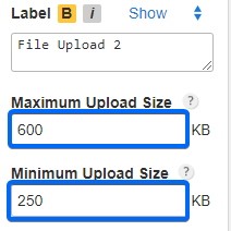 File Upload Size - WordPress Forms Plugin