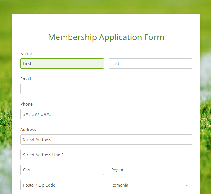 Form Preview - How to preview your form? | 123FormBuilder
